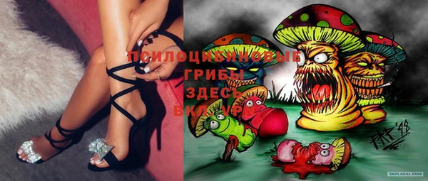 ECSTASY Алзамай