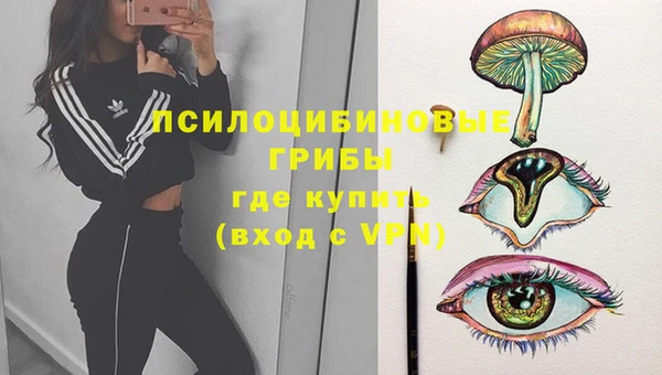 ECSTASY Алзамай