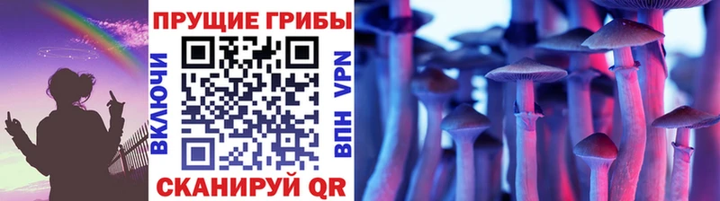 Галлюциногенные грибы Cubensis  Яблоновский 